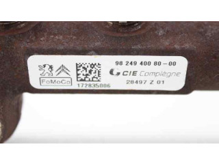 Топливная рампа 9824940080, 9676643880   Citroen C4 II Picasso  