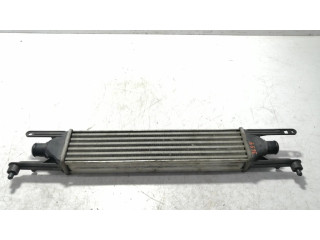 Интеркулер  INTERCOOLER   Fiat Punto (199) 1.2