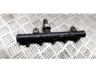 Топливная рампа 9681649580   Fiat Ulysse   для двигателя RHK