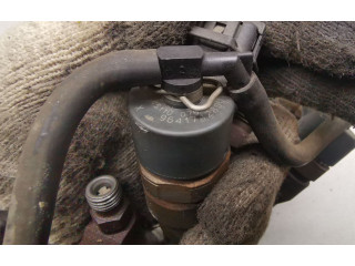 Vstřikovač 0445110076, 9641742880   Peugeot 307     