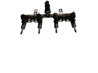 Комплект жиклеров (форсунок) 190053711, 5155440 Citroen C5