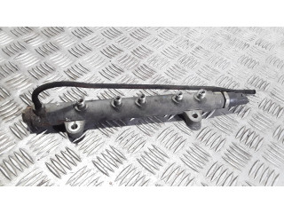 Топливная рампа 0445214051, 1077800210 Honda FR-V 2.2