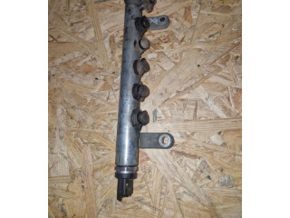 Топливная рампа 9656917280, DW12BTED4 Mitsubishi Outlander для двигателя 4HN