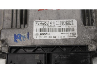 Блок управления впрыском 0281033096   Ford Transit -  Tourneo Connect