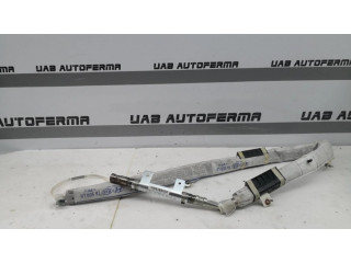 Надувная подушка для крыши