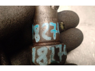 Vstřikovač LCR6736001, LCR6736001 Citroen Berlingo WJY