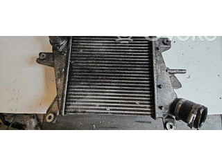 Интеркулер  D2052B17   Nissan X-Trail T30 