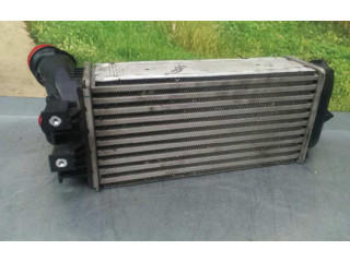 Интеркулер 9800291280, IA2077 Citroen Berlingo 1.6