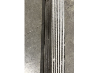 Интеркулер     Citroen DS4 