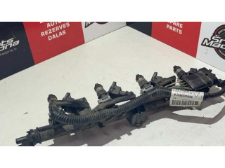 Комплект форсунок 8200323837B    Dacia Logan II для бензинового двигателя  1.2