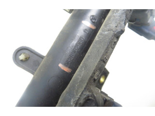 Топливная рампа 9628982980D, 9628982980D Citroen Xsara Picasso для двигателя NFV (TU5JP)