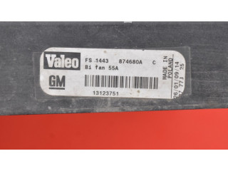 Вентилятор радиатора     874680A, 874680A    Saab 9-3 Ver2 