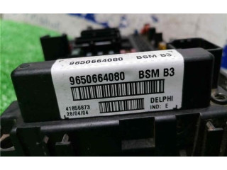 Блок предохранителей BSMB3, 9650664080 Citroen Xsara