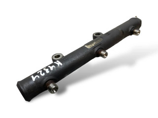 Топливная рампа 4R8Q9D280BC, 5WS40130 Jaguar S-Type 2.7 для двигателя AJD