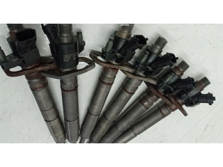 Форсунка Citroen C4 II Picasso