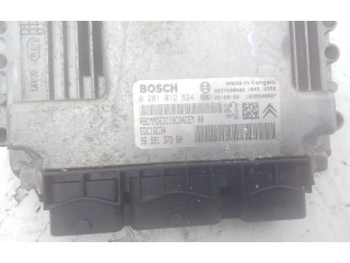 Řídící jednotka 8HZ   Citroen C3 Pluriel 2006