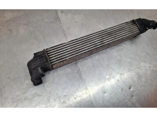 Интеркулер  8200880552, 1100229446   Dacia Duster 