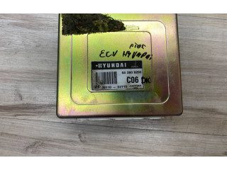 Řídící jednotka 3911002710, S02808200 Hyundai Atos Classic 2001