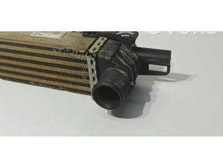 Интеркулер  51877663, X29890016   Fiat Fiorino 