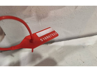 Топливная рампа 9810335380   Citroen C4 II Picasso  