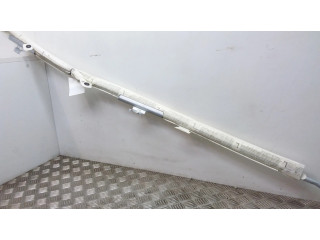 Боковая подушка безопасности 1Z9880741B Skoda Octavia Mk2 (1Z)