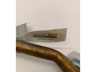 Надувная подушка для крыши 8P4880742J, 2BM880540435 Audi A3 S3 A3 Sportback 8P