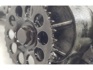 Čerpadlo oleje G4D36L079JA, LR110501 Land Rover Discovery Sport