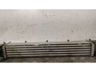 Интеркулер  1751850690402   Mini Cooper Countryman R60 2.0