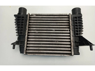 Интеркулер     Renault Clio III 