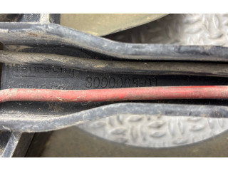 Вентилятор радиатора 300000801 Citroen C4 Grand Picasso