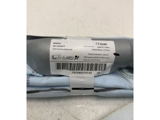 Боковая подушка безопасности CN15A042D95AC, 0589 Ford Ecosport