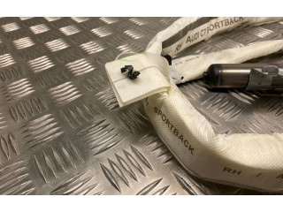 Боковая подушка безопасности 4G8880742B Audi A7 S7 4G