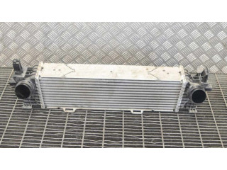 Интеркулер  8582879, 68975511   BMW X3 G01 2.0