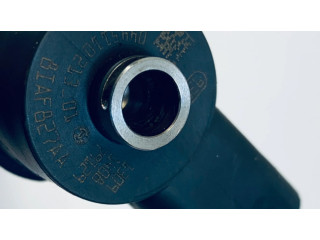 Форсунка 0445110213 Lancia Thesis для дизельного двигателя 2.4