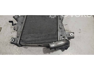 Интеркулер  D2053B17   Nissan X-Trail T30 