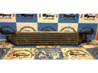 Интеркулер  55700449   Fiat Punto (199) 