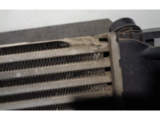 Интеркулер  8200880552B, M144144E   Dacia Duster 