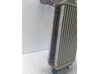 Интеркулер AV219L440AC Ford Ecosport