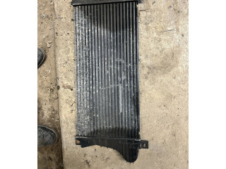 Интеркулер Jeep Grand Cherokee (WK)