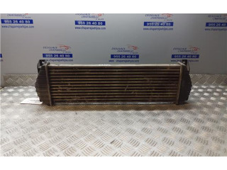 Интеркулер 621970, 621970 SsangYong Actyon