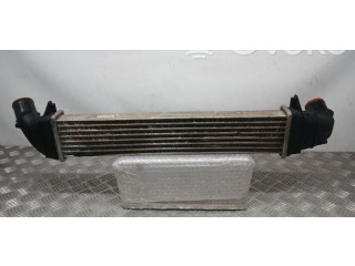 Интеркулер 8200424155 Dacia Logan I