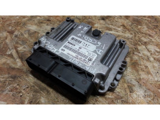 Řídící jednotka 0281016430, 391132A121 KIA Soul 2010