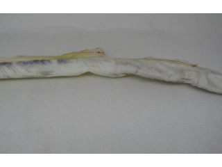 Боковая подушка безопасности 48042080900218, 04B244HB0631P   BMW 7 E65 E66