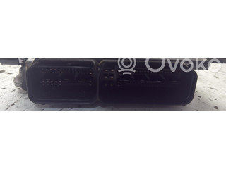 Řídící jednotka 0459613AB, 0459613AB Seat Ibiza IV (6J,6P) 2010