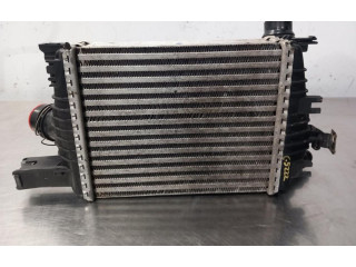 Интеркулер  144961381R   Renault Clio III 