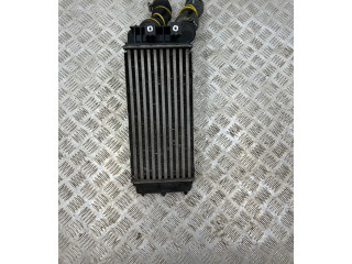 Интеркулер  9800291280, 98733T01   Citroen DS4 