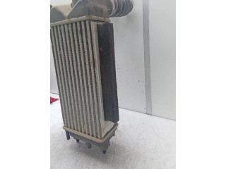 Интеркулер AV219L440AC Ford Ecosport