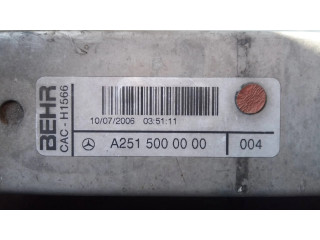 Интеркулер  A2515000000004   Mercedes-Benz R W251 3.0