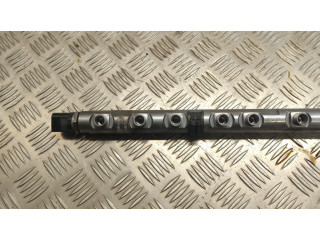 Vstřikovací lišta 266895, 0445216031 BMW 5 GT F07 pro naftový motor 3.0 N57