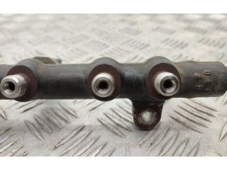 Комплект системы впрыска топлива 9674300080, 9674984080    Ford Kuga II  xrmc 